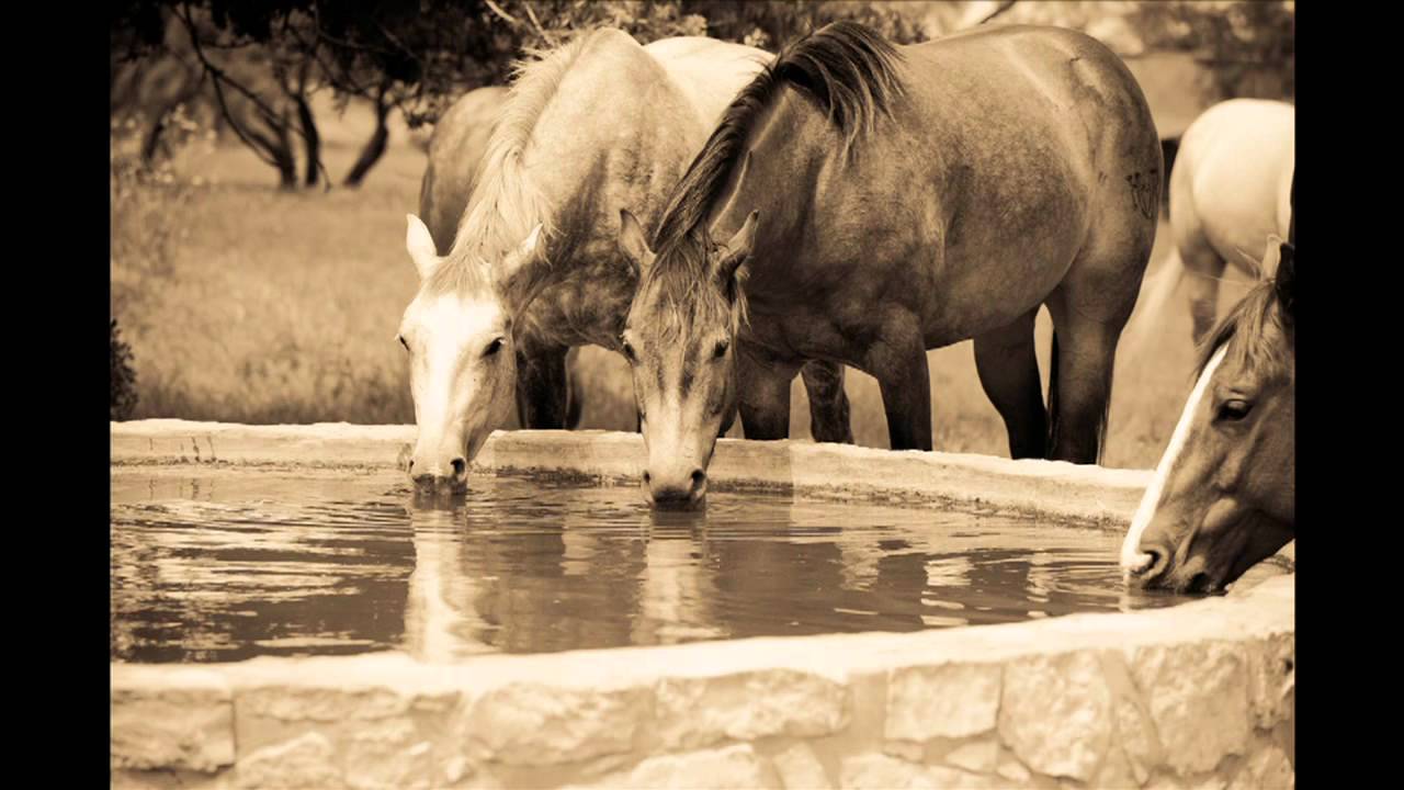 David R. Stoecklein slideshow - Jaquima to Freno