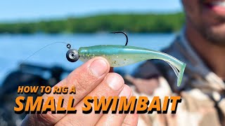 How to Rig a Small Swimbait with Bob Downey