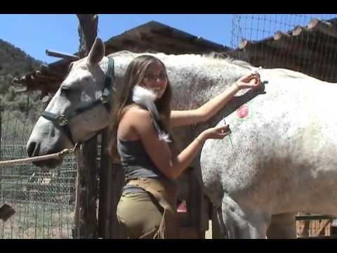 Tim McGraw - My Little Girl (Flicka)