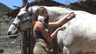 Tim McGraw - My Little Girl (Flicka)