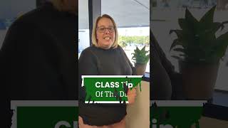 CLASS Tips