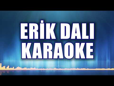 ERİK DALI GEVREKTİR KARAOKE     ton: LA