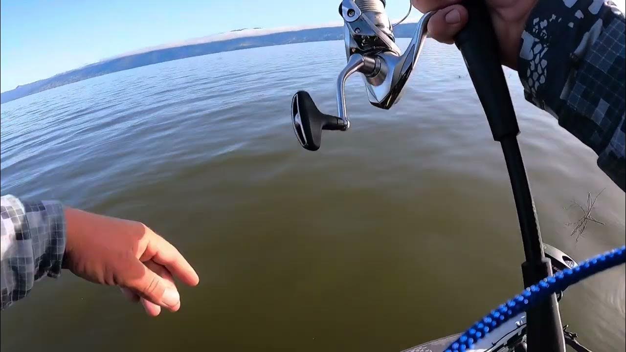 MLF Toyota Series Tournament CLEAR LAKE YouTube