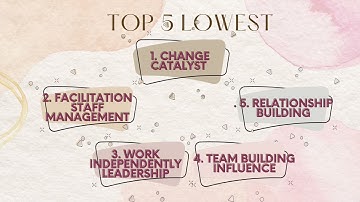 OPAUD GROUP D: CORE COMPETENCIES OF AN INTERNAL AUDITOR