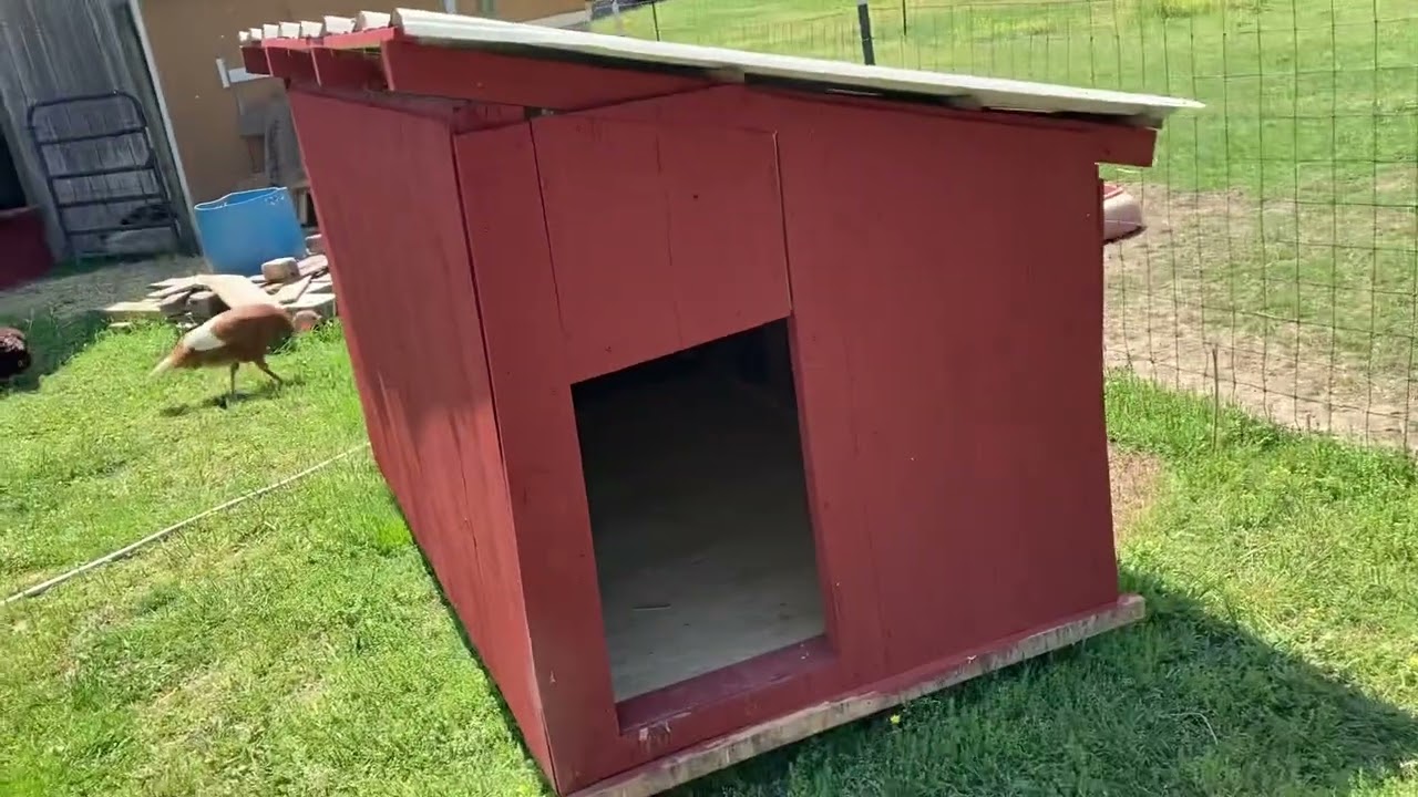 Farrowing hut and new pig house