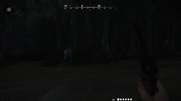 Getting Stuck on Hunt (Bug?)