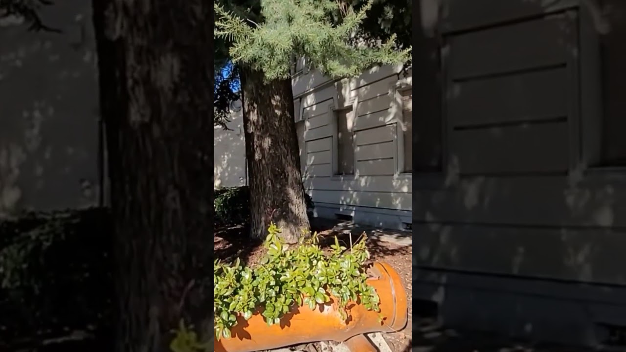 Дворец Аттемс Лучинико Италия