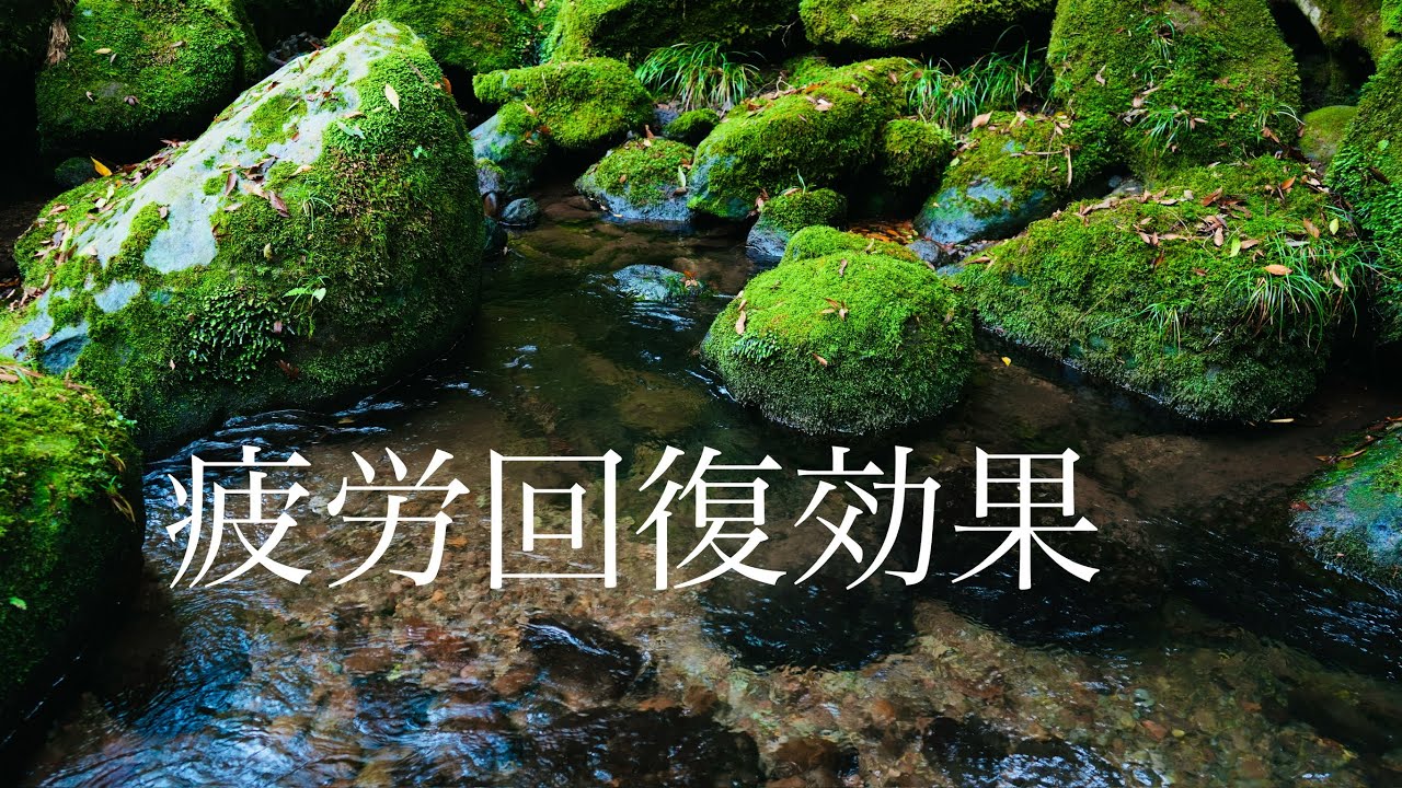 心の休息 落ち着く水の音、瞑想・休養・安眠・せせらぎ・心身のリフレッシュ・ヒーリングミュージック・自然環境音・疲労回復・自律神経の調整