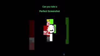 Perfect screen shot Minecraft