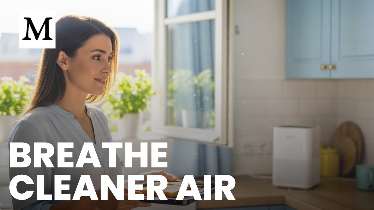 Make Your Home Air Safer Starting Today | Mercola Cellular Wisdom