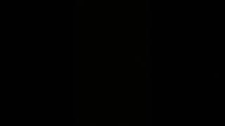 honey monster vs the bears gang (sing)