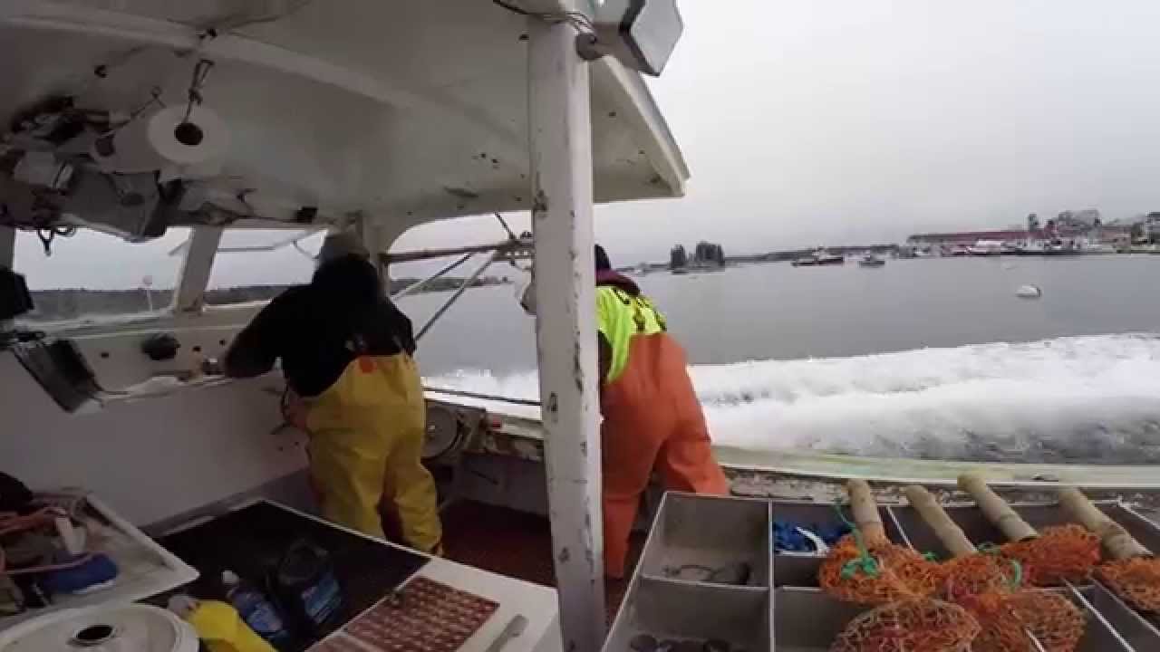 Fishermen's Festival 2014 Lobster Trap Hauling YouTube