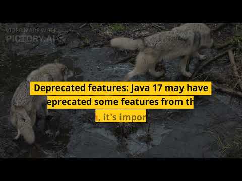 Making the Move to Java 17: A Walkthrough for Java 11 Developers #javadevelopment #javaframework