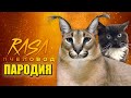 Песня Клип БОЛЬШОЙ ШЛЁПА ПРОТИВ ЧМОНИ Rasa - Пчеловод ПАРОДИЯ / Кот Чмоня против Шлёпы / BIG FLOPPA