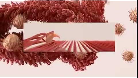 This Velcro ad by Lukas Vojir and Alexa Sirbu