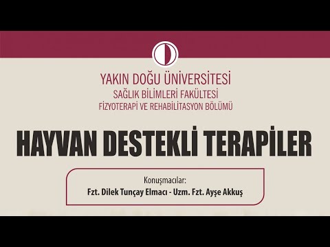 Video: Hayvan destekli terapide ne tür hayvanlar kullanılır?