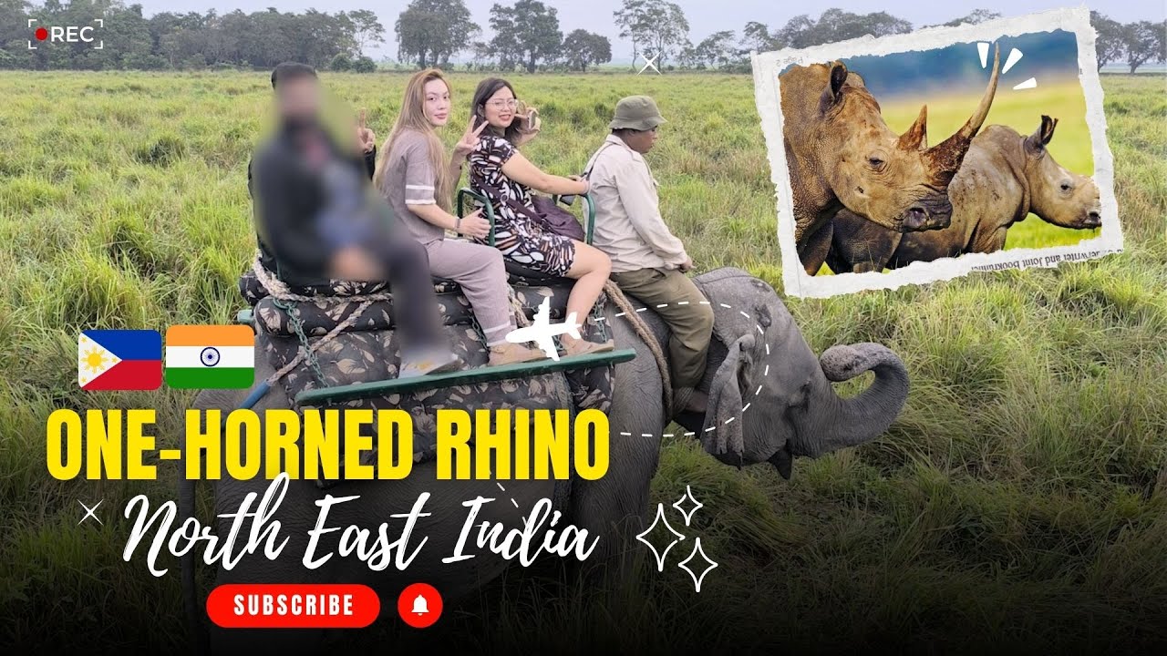 Filipino in Northeast India l Kaziranga National Park, One-horned Rhinos & Road Trips