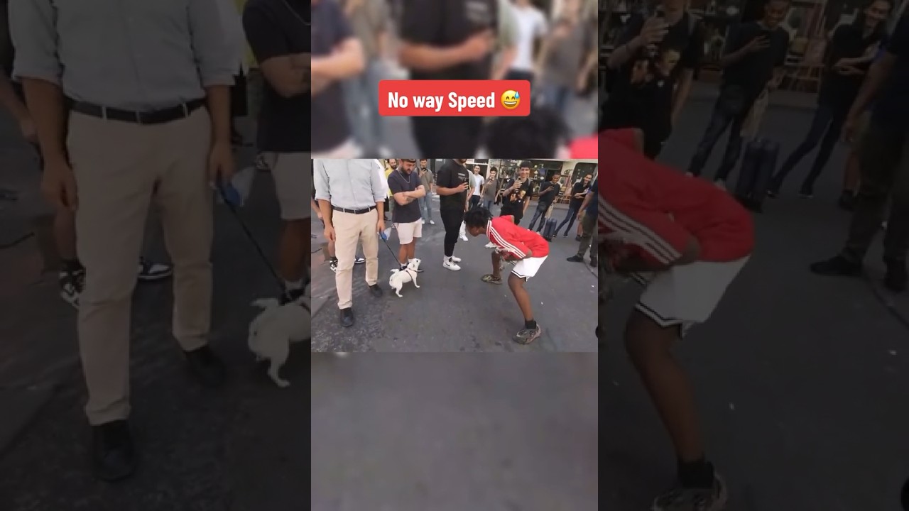 Ishowspeed bark battle vs a dog