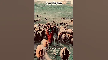 Kurdish Music Hasan Zirak لەگوندێ کە تۆ مەڕ دۆوش بی KurdistanFree 