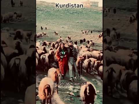     لەگوندێ کە تۆ مەڕ دۆوش بی 