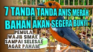 7 TANDA TANDA BURUNG ANIS MERAH BAHAN AKAN BUNYI PLONG