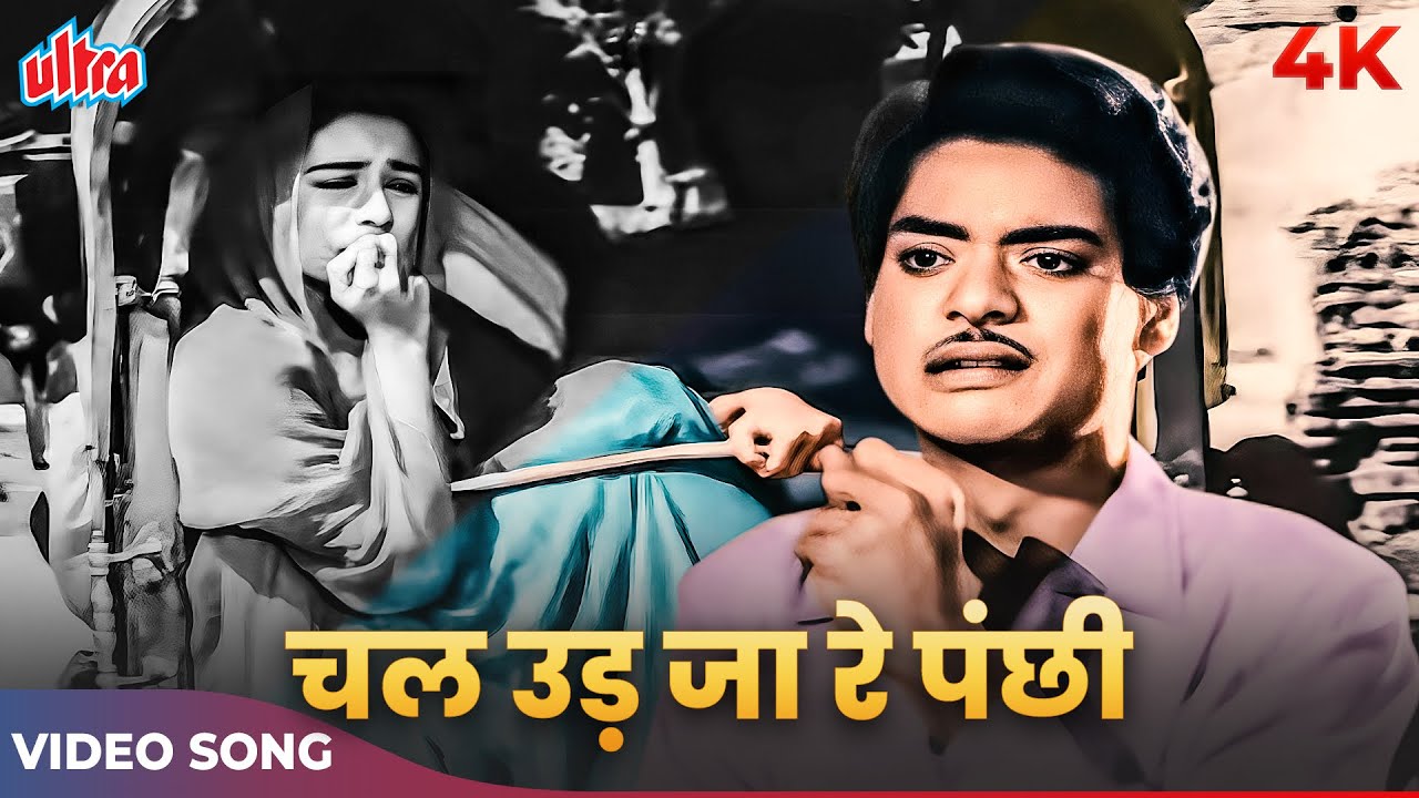 YouTube에서 Chal Ud Jare Panchhi 4K Video in Color | Mohammed Rafi Old Song | Bhabhi 1957 Songs 보기