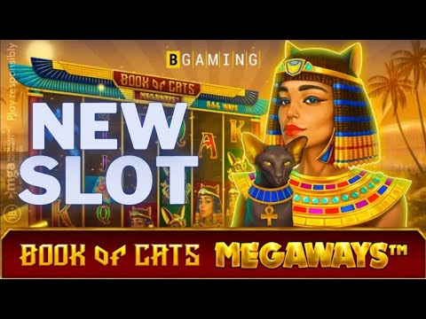 Book of Cats Megaways slot🔥So much fun you'll never want to stop!😻