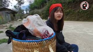 Tán gái bá đạo ở Sapa