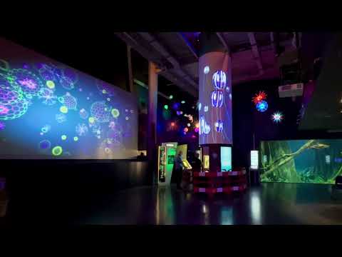 Related Embedded Video Item Thumbnail