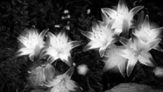 What do they know , Tammy Wynette Wealth