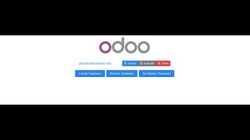Customised Odoo Kenyan Payroll demo
