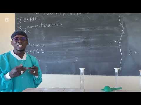 Bilan D Infertilité Masculine Tout Savoir Science Foryou