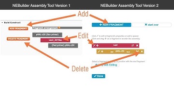NEBuilder Assembly Tool 2.0 What