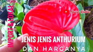 jenis jenis anthurium dan harganya/import maupun lokal/harga anthurium bunga dan cara perawatanya/