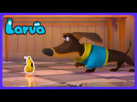 ¡Un caos INCREÍBLE! 🐛 Larva | Recopilación de Episodios Completos