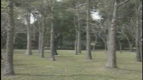 Nyi boi pian sim ( Hakka love song )