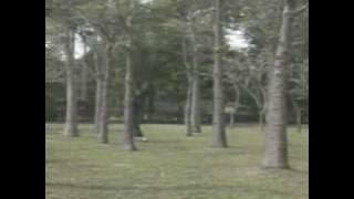 Nyi boi pian sim ( Hakka love song )