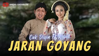 Karaoke - Jaran Goyang - Cak Diqin & Wiwid (Official Video Karaoke ANEKA SAFARI)