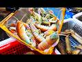 ALIEN PEACOCK MANTIS SHRIMP Chinese Street Food Xiamen China