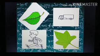 Sorting / colours / Infant Mathematics /book 1