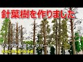 針葉樹を作りました