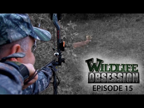 Wildlife Obsession Ep. 15 (Glen Simpson | Jeff Lindsey | Lance Chapman) - Wildlife Obsession Ep. 15 (Glen Simpson | Jeff Lindsey | Lance Chapman)