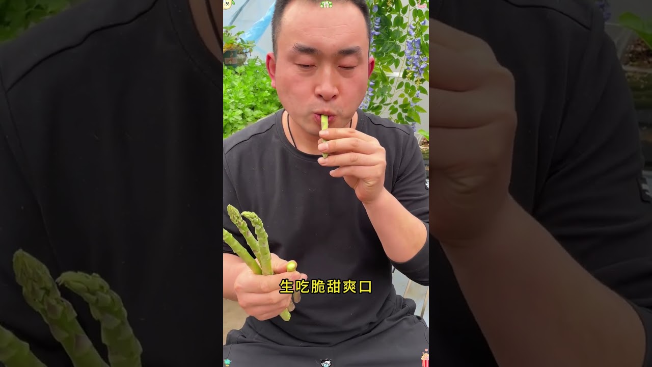 What vegetable should we plant this spring that can be eaten for many years after one planting?