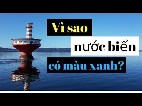 Màu Xanh Nước Biển Tiếng Anh Là Gì - Vì sao nước biển có màu xanh? | Why is the ocean blue? | Dat Ngo Podcast