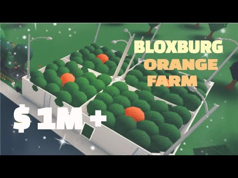 HOW TO MAKE 1M DAILY Bloxburg Orange farm  YouTube