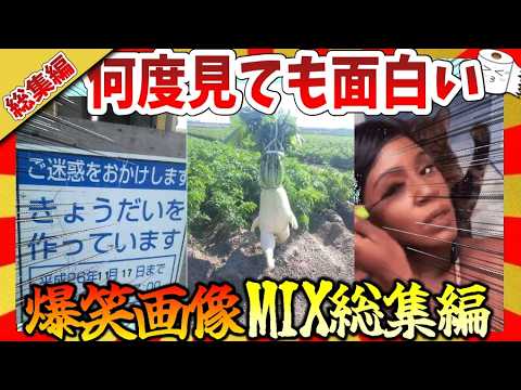 【🔥爆笑：総集編】何度見ても笑っちゃう面白画像＆映像集！ガルちゃんまとめ/2ch