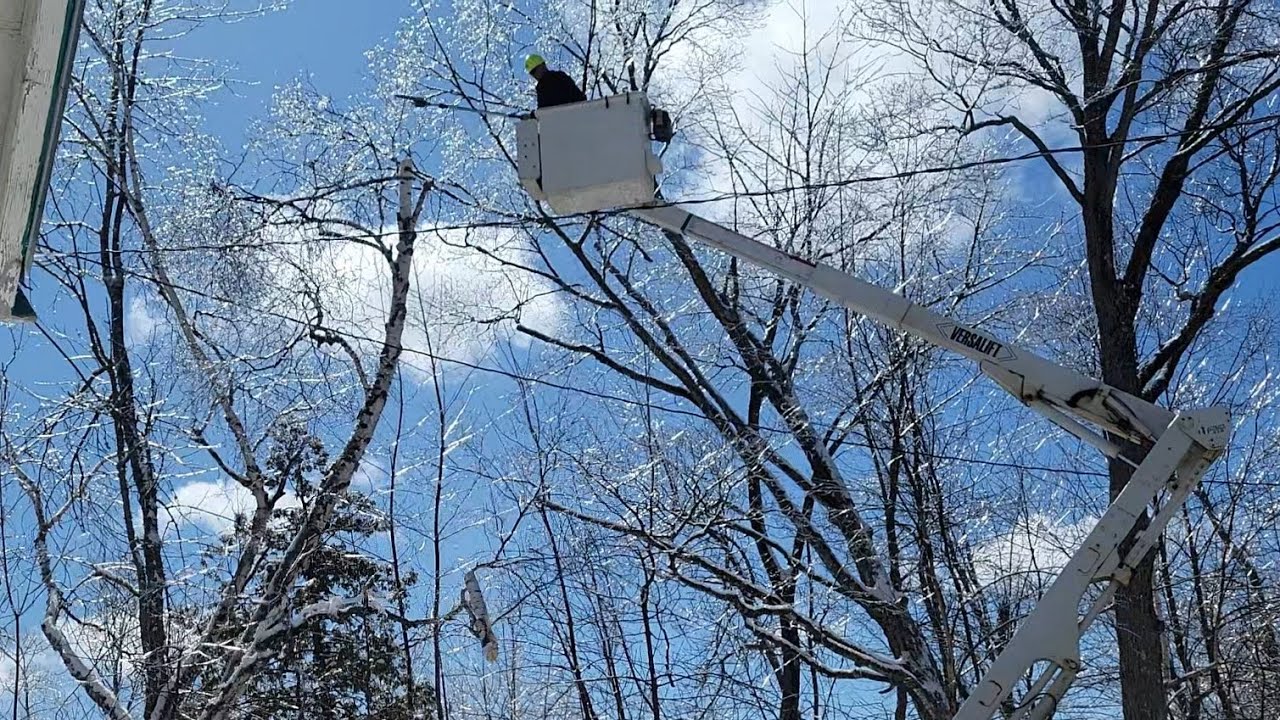 Cloverland Electric Removing Tree Off Power Line After The Freezingran ...
