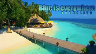 BorN2Live - Blue Is Everywhere [Version 2]