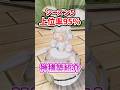 【朗報】S5で連勝できる神構築を紹介！！幻ポケモンが強すぎる！！ #ポケモンレジェンズza #M次元ラッシュ