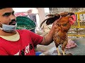 Amazing Chicken Cutting Skills In Chicken Market - Chicken Cutting Show